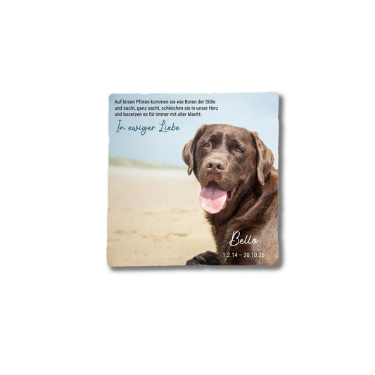 Marmorstein_Mockup_10x10