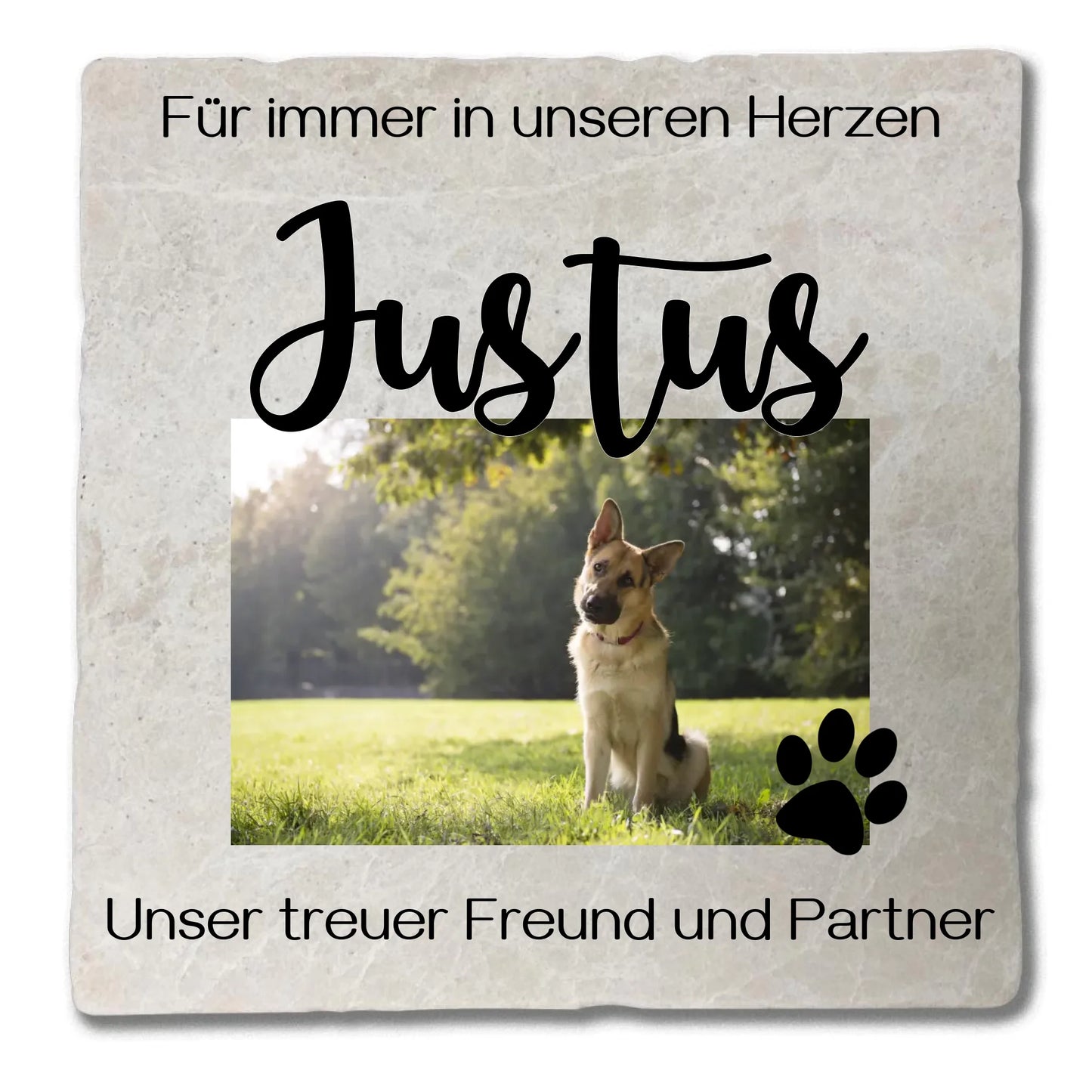 Marmorstein_Mockup_20x20