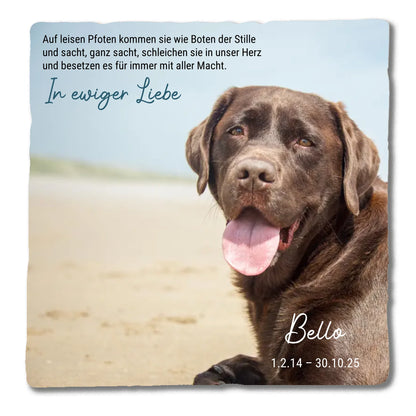 Marmorstein_Mockup_20x20