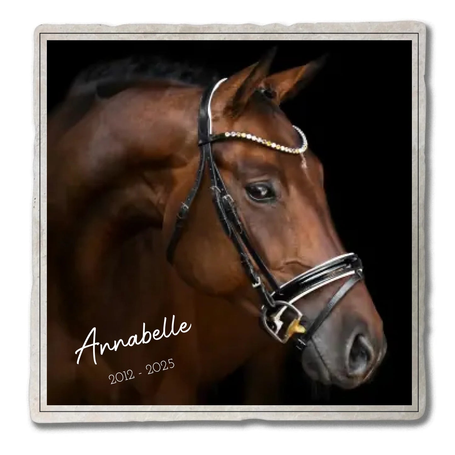 Marmorstein_Mockup_20x20