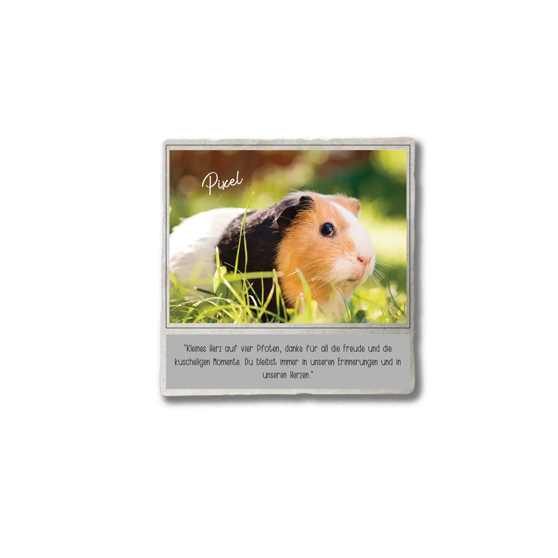 Marmorstein_Mockup_10x10