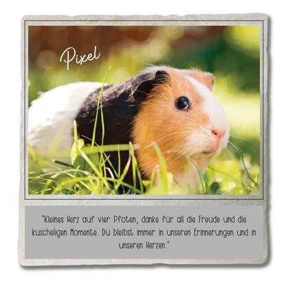 Marmorstein_Mockup_20x20